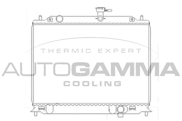 Radiator, engine cooling (104829)