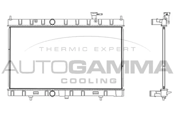 Radiator, engine cooling (107884)