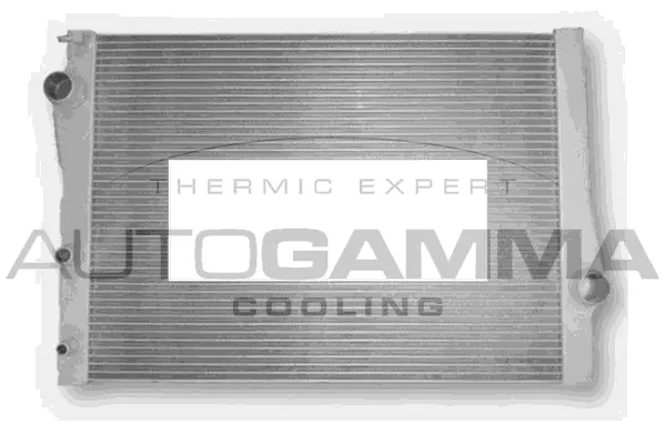 Radiator, engine cooling (107129)
