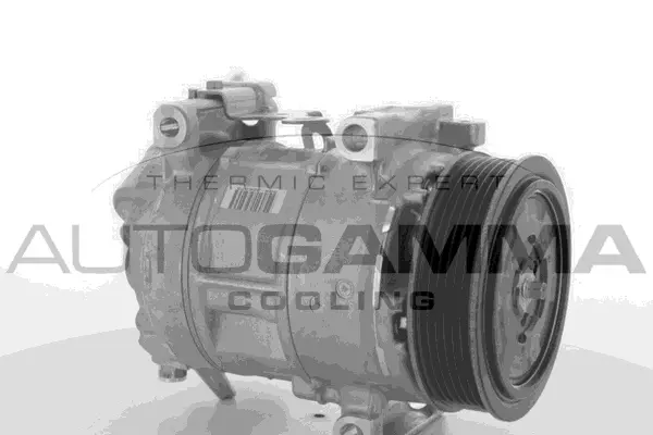 Compressor, air conditioning (118550)