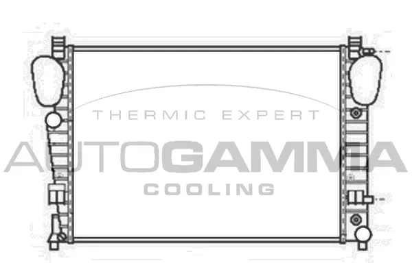 Radiator, engine cooling (103471)