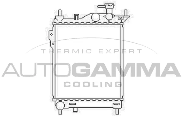 Radiator, engine cooling (103667)