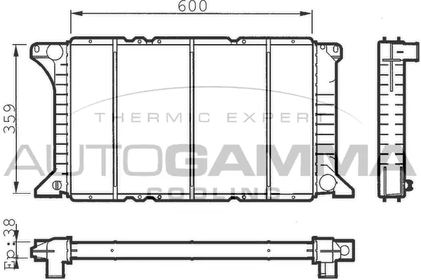 Radiator, engine cooling (100394)