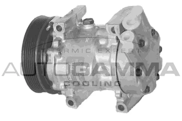 Compressor, air conditioning (108015)