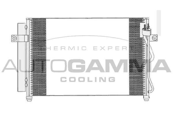 Condenser, air conditioning (104096)