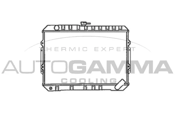Radiator, engine cooling (100595)