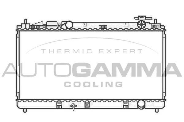 Radiator, engine cooling (105922)