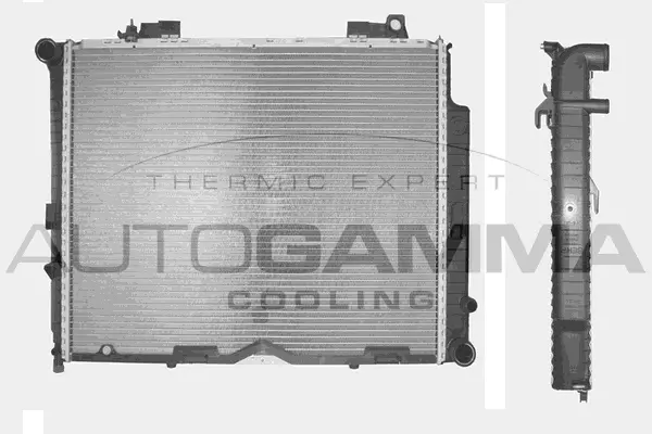 Radiator, engine cooling (104317)