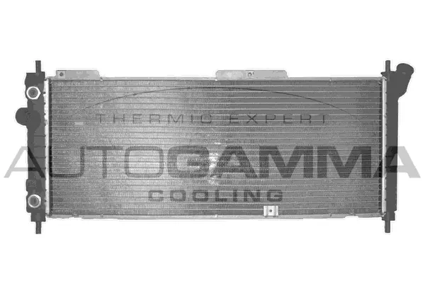 Radiator, engine cooling (102223)