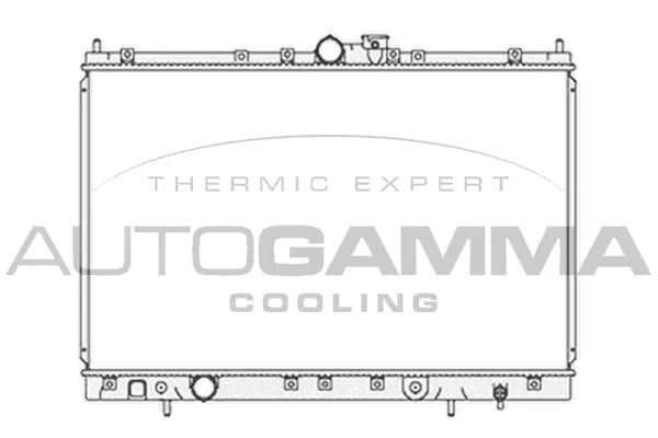 Radiator, engine cooling (103866)