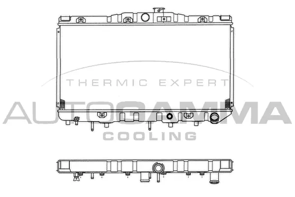 Radiator, engine cooling (100994)