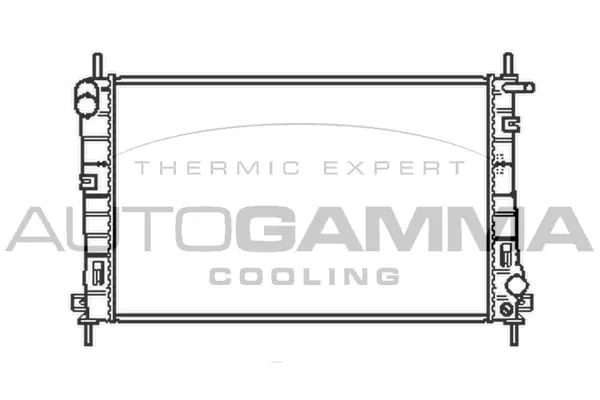 Radiator, engine cooling (103101)
