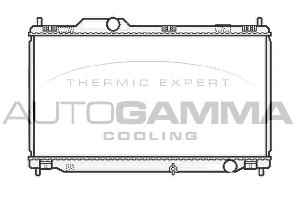 Radiator, engine cooling (104849)
