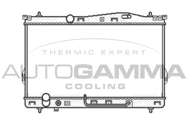 Radiator, engine cooling (104068)