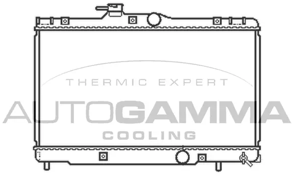 Radiator, engine cooling (104721)