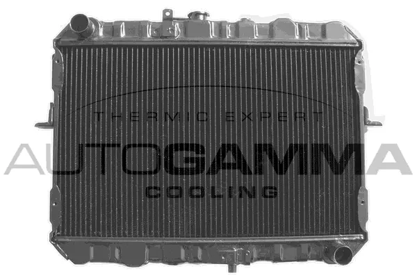 Radiator, engine cooling (101999)