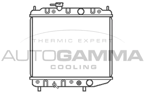 Radiator, engine cooling (100576)