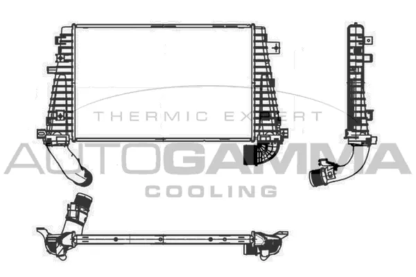 Charge Air Cooler (107024)