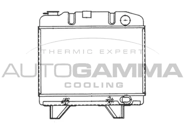 Radiator, engine cooling (100786)