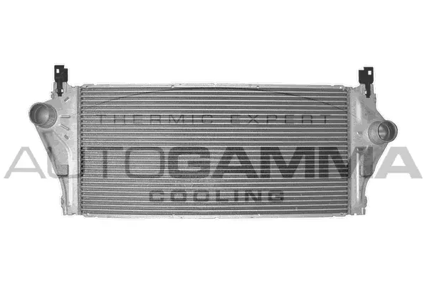 Charge Air Cooler (103063)