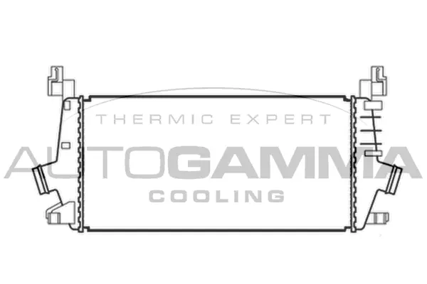 Charge Air Cooler (105666)