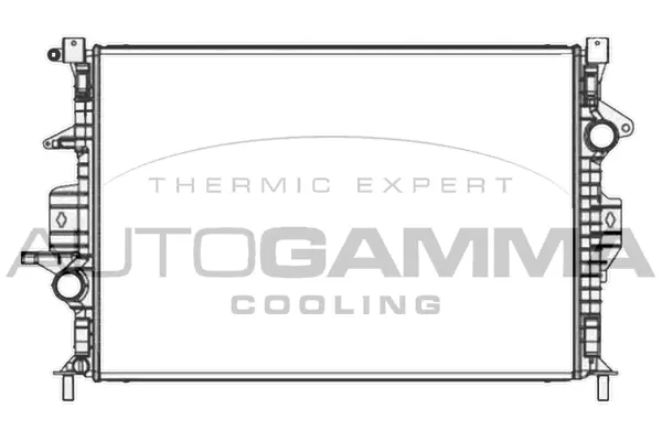 Radiator, engine cooling (107821)