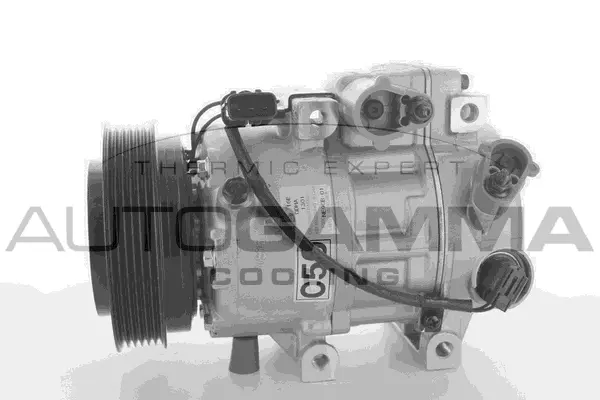 Compressor, air conditioning (118506)
