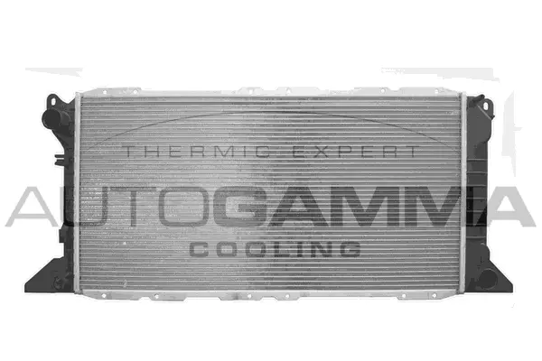 Radiator, engine cooling (102089)