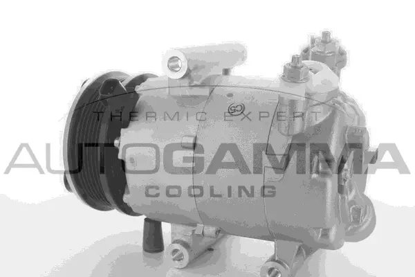 Compressor, air conditioning (118445)