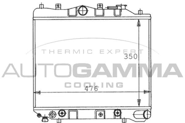 Radiator, engine cooling (100484)