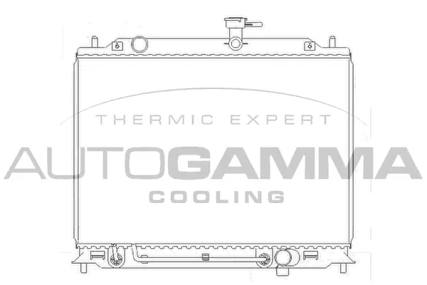 Radiator, engine cooling (104831)
