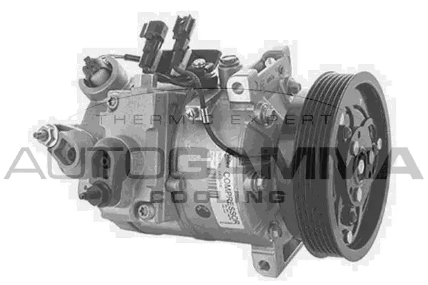Compressor, air conditioning (118703)