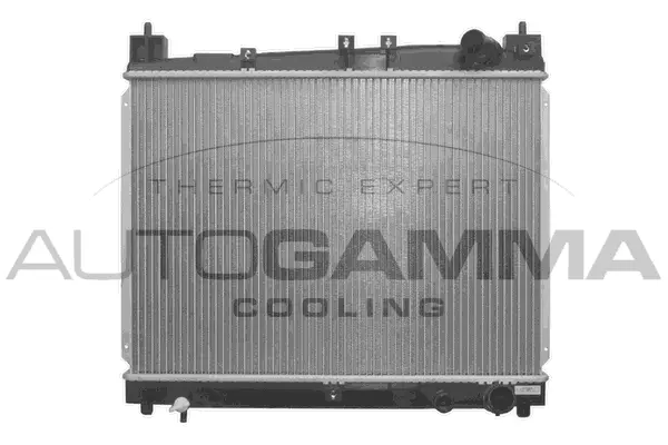Radiator, engine cooling (103155)