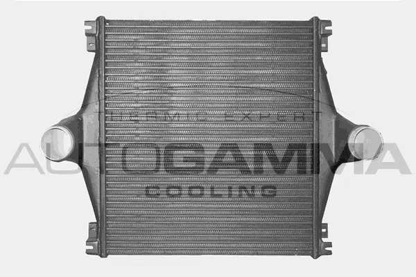 Charge Air Cooler (404302)
