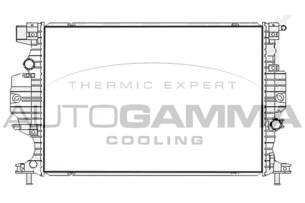 Radiator, engine cooling (107765)
