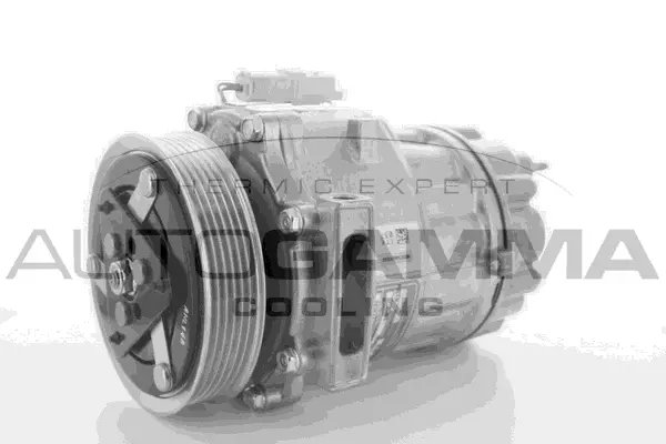 Compressor, air conditioning (108900)