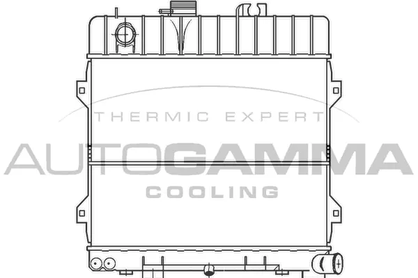 Radiator, engine cooling (100113)