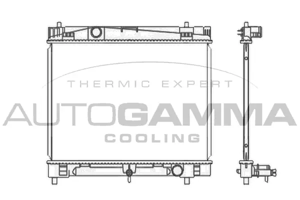 Radiator, engine cooling (107810)
