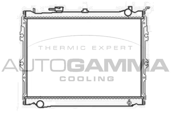 Radiator, engine cooling (104679)