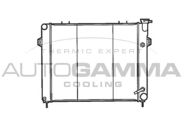 Radiator, engine cooling (100443)