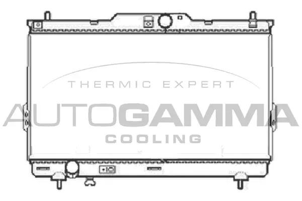 Radiator, engine cooling (104073)