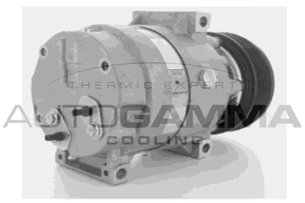 Compressor, air conditioning (108027)