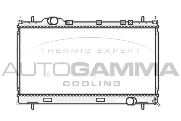 Radiator, engine cooling (107015)