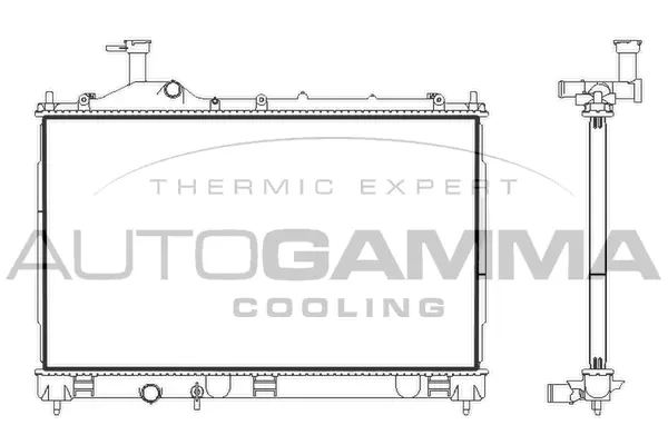 Radiator, engine cooling (107893)