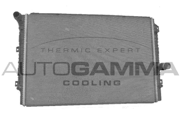 Radiator, engine cooling (107760)