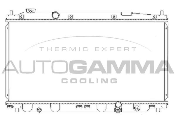 Radiator, engine cooling (107218)