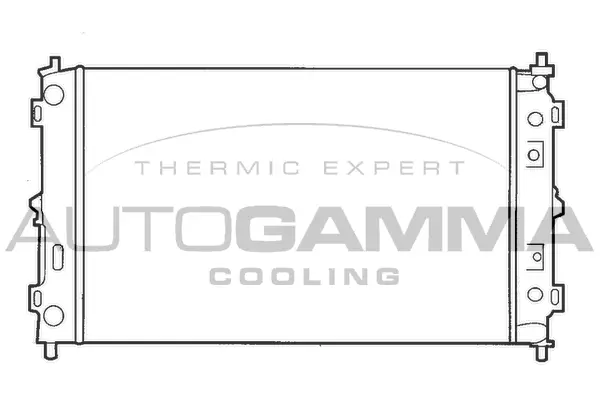 Radiator, engine cooling (100138)