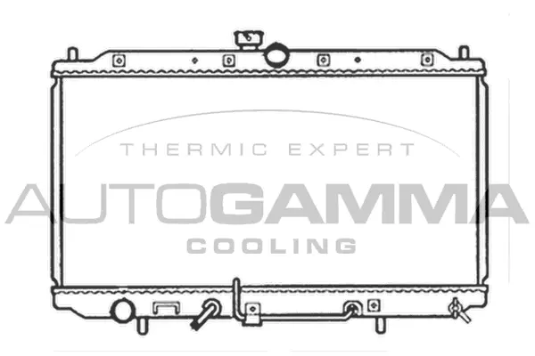 Radiator, engine cooling (102170)