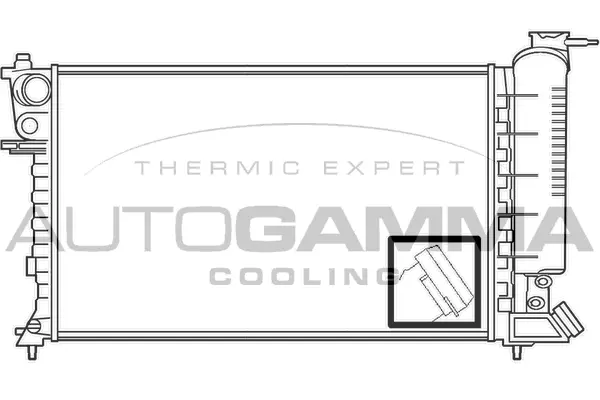 Radiator, engine cooling (100224)