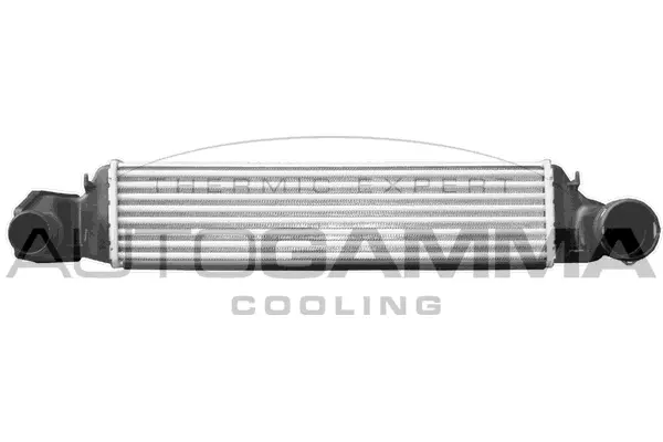 Charge Air Cooler (103730)